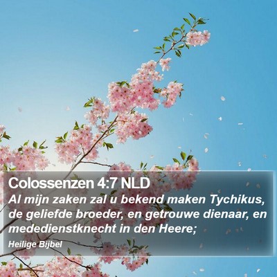 Colossenzen 4:7 NLD Bible Verse Image