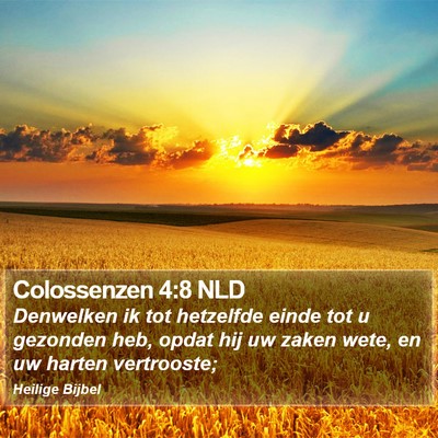 Colossenzen 4:8 NLD Bible Verse Image