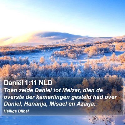 Daniël 1:11 NLD Bible Verse Image