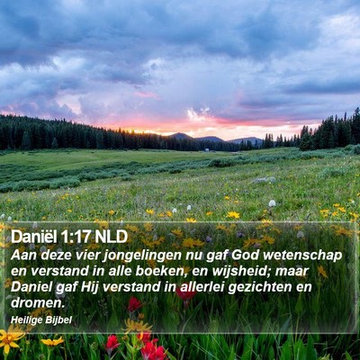 Daniël 1:17 NLD Bible Verse Image