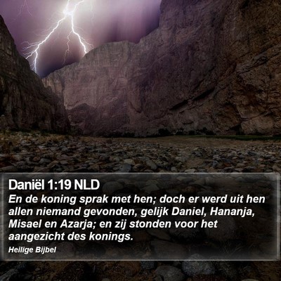 Daniël 1:19 NLD Bible Verse Image
