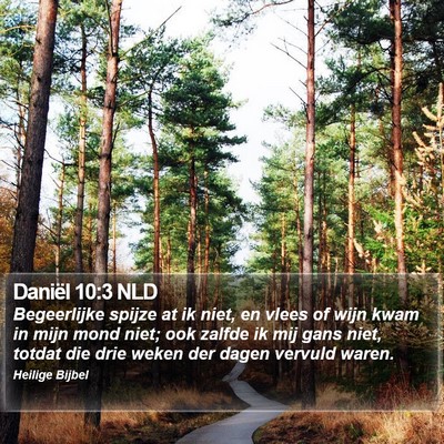Daniël 10:3 NLD Bible Verse Image