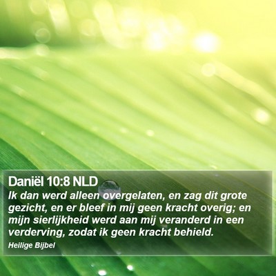 Daniël 10:8 NLD Bible Verse Image
