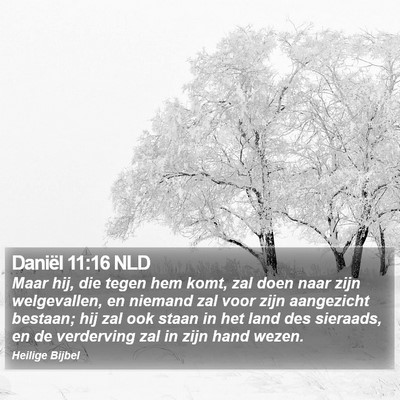 Daniël 11:16 NLD Bible Verse Image
