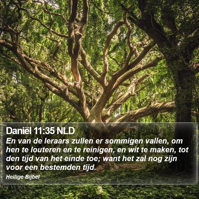 Daniël 11:35 NLD Bible Verse Image