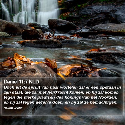 Daniël 11:7 NLD Bible Verse Image