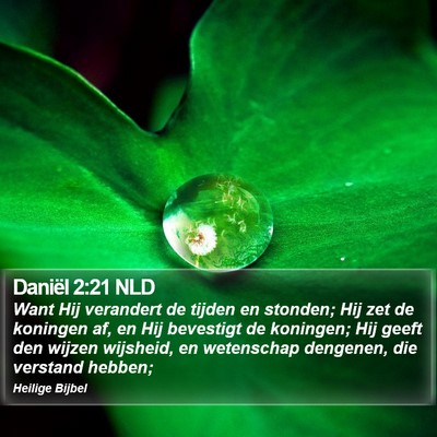 Daniël 2:21 NLD Bible Verse Image