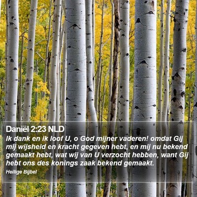 Daniël 2:23 NLD Bible Verse Image