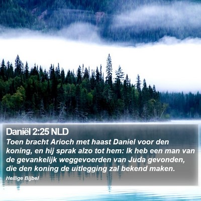 Daniël 2:25 NLD Bible Verse Image