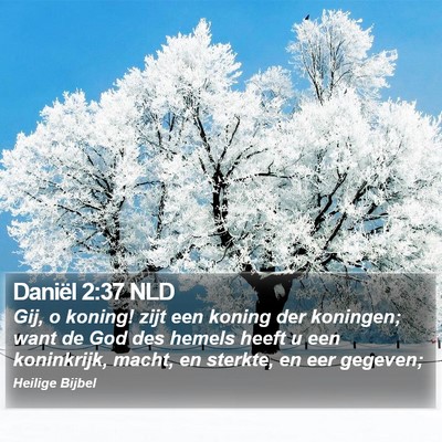 Daniël 2:37 NLD Bible Verse Image