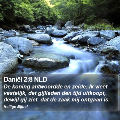 Daniël 2:8 NLD Bible Verse Image
