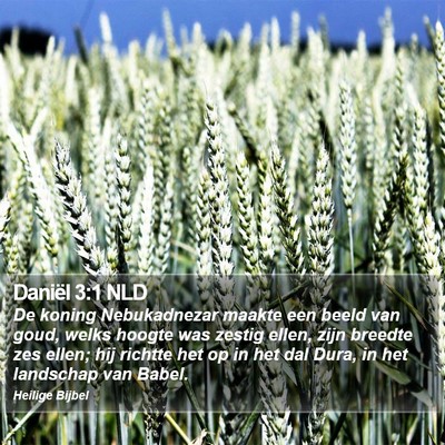 Daniël 3:1 NLD Bible Verse Image