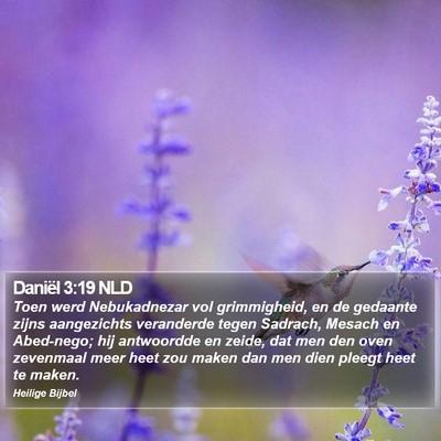 Daniël 3:19 NLD Bible Verse Image