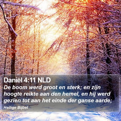 Daniël 4:11 NLD Bible Verse Image