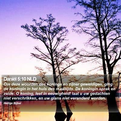 Daniël 5:10 NLD Bible Verse Image