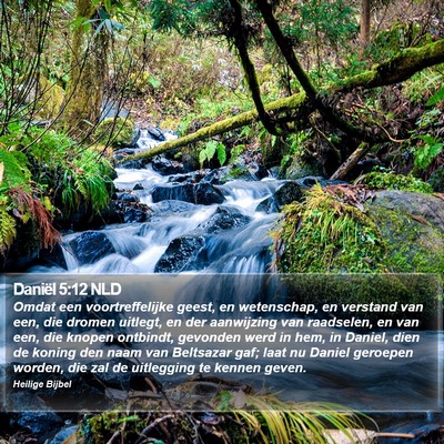 Daniël 5:12 NLD Bible Verse Image