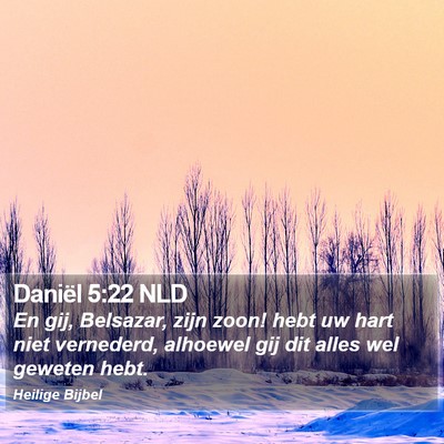 Daniël 5:22 NLD Bible Verse Image