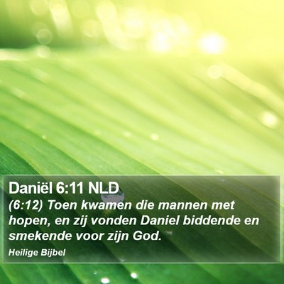 Daniël 6:11 NLD Bible Verse Image