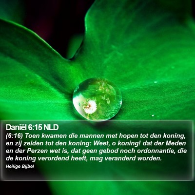 Daniël 6:15 NLD Bible Verse Image