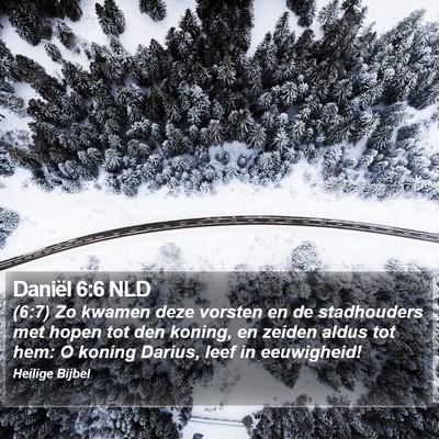 Daniël 6:6 NLD Bible Verse Image