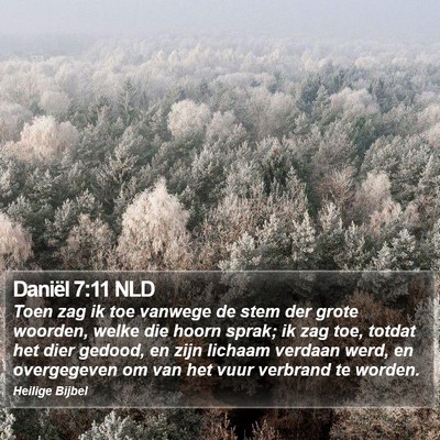 Daniël 7:11 NLD Bible Verse Image