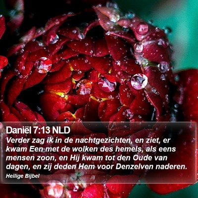 Daniël 7:13 NLD Bible Verse Image