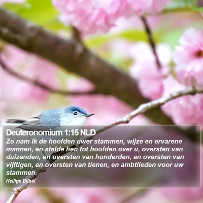 Deuteronomium 1:15 NLD Bible Verse Image