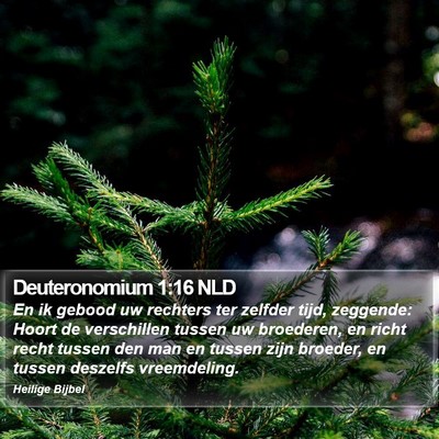 Deuteronomium 1:16 NLD Bible Verse Image