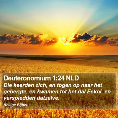 Deuteronomium 1:24 NLD Bible Verse Image