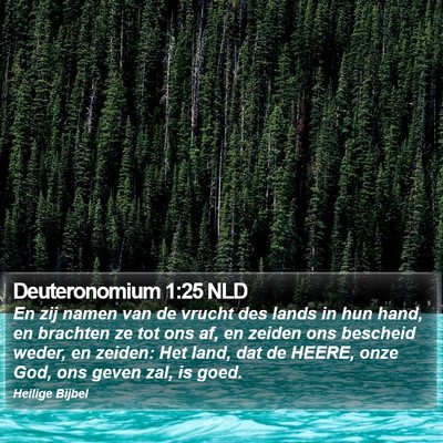 Deuteronomium 1:25 NLD Bible Verse Image