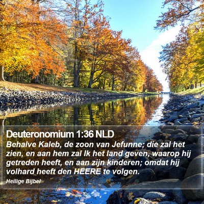 Deuteronomium 1:36 NLD Bible Verse Image