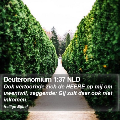 Deuteronomium 1:37 NLD Bible Verse Image