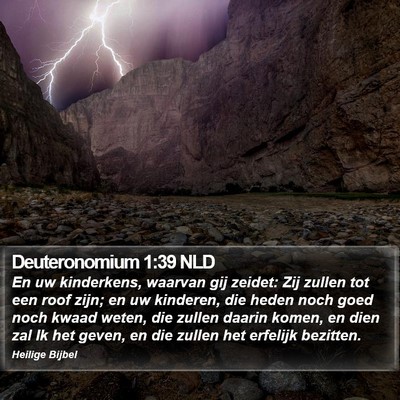 Deuteronomium 1:39 NLD Bible Verse Image