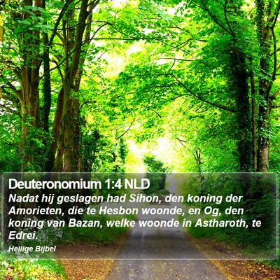 Deuteronomium 1:4 NLD Bible Verse Image
