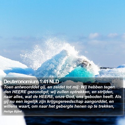 Deuteronomium 1:41 NLD Bible Verse Image