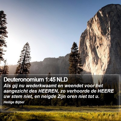 Deuteronomium 1:45 NLD Bible Verse Image