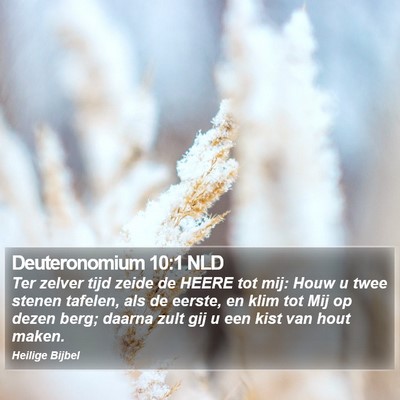 Deuteronomium 10:1 NLD Bible Verse Image