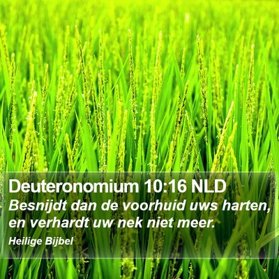 Deuteronomium 10:16 NLD Bible Verse Image
