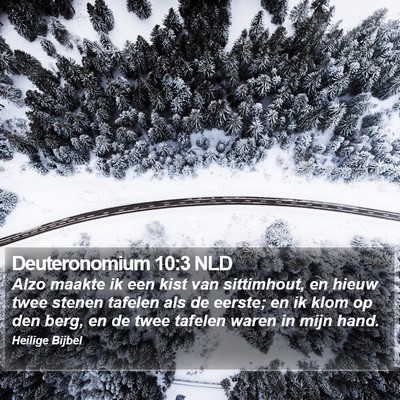 Deuteronomium 10:3 NLD Bible Verse Image