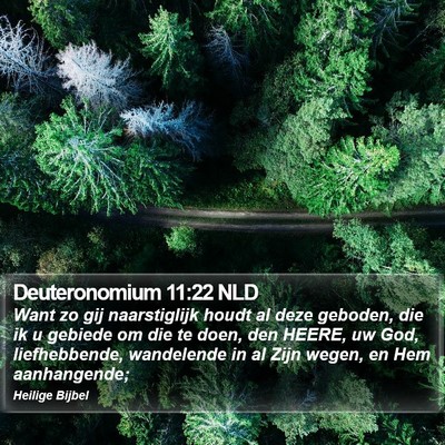 Deuteronomium 11:22 NLD Bible Verse Image