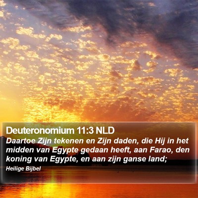 Deuteronomium 11:3 NLD Bible Verse Image