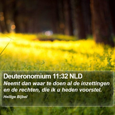 Deuteronomium 11:32 NLD Bible Verse Image