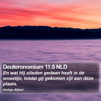 Deuteronomium 11:5 NLD Bible Verse Image