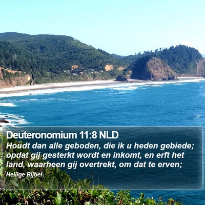 Deuteronomium 11:8 NLD Bible Verse Image