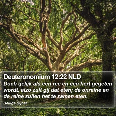 Deuteronomium 12:22 NLD Bible Verse Image
