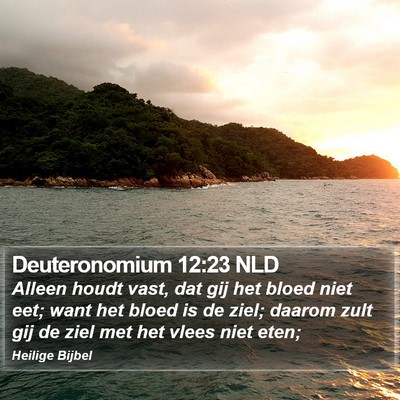 Deuteronomium 12:23 NLD Bible Verse Image