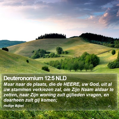 Deuteronomium 12:5 NLD Bible Verse Image