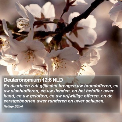 Deuteronomium 12:6 NLD Bible Verse Image