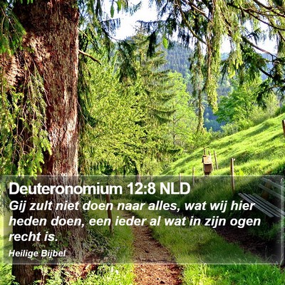 Deuteronomium 12:8 NLD Bible Verse Image