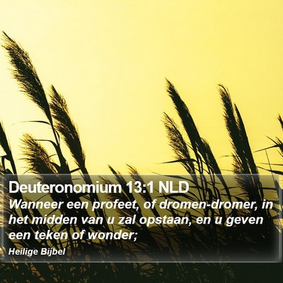 Deuteronomium 13:1 NLD Bible Verse Image